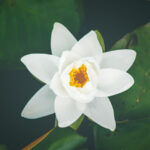 Health Tips And Benefits Of Healthy Lifestyle You Should Consider